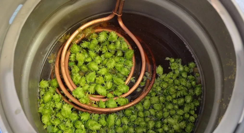 Wet Hop Brew Day 2 - edited 2